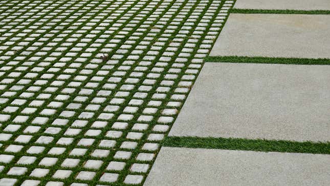 Grass driveway with concrete pavers
