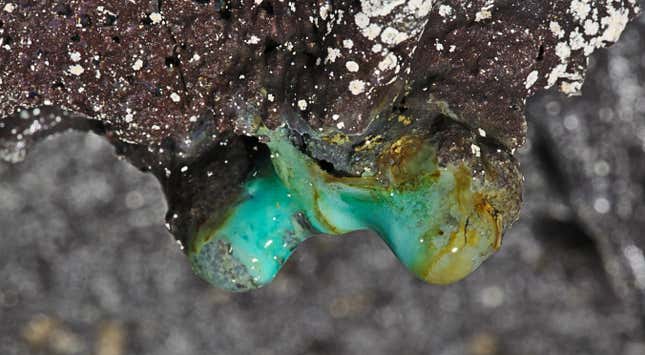 A stalactite formation in a Hawaiian cave system from this study with copper minerals and white microbial colonies.