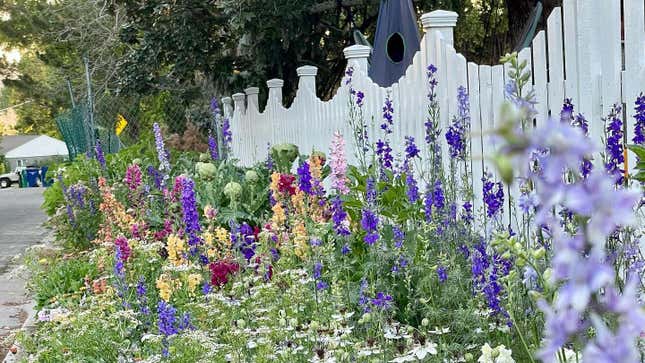 Image for article titled You Can Build a Stunning Flower Wall for Your Home