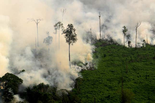 Clearing land in the Riau province.