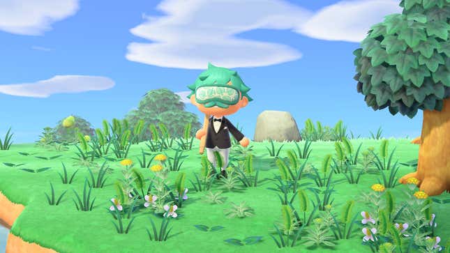 Image for article titled What Happens When You Abandon Your Animal Crossing: New Horizons Island