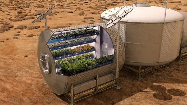 An artist’s rendering of what Martian gardening might look like, assuming no dust ever kicks up.
