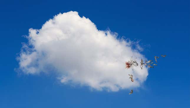 Image for article titled Study Finds Over 5 Million Birds Die Annually From Head-On Collisions With Clouds