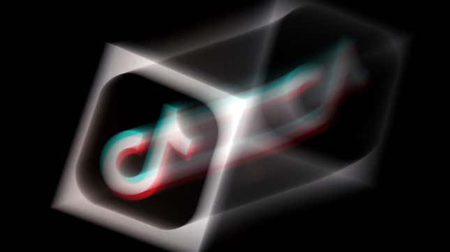 Image for article titled It Doesn’t Matter Who Owns TikTok