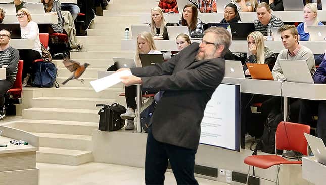 Image for article titled Supposedly Educated Professor Has No Idea How To Get Bird Out Of Lecture Hall