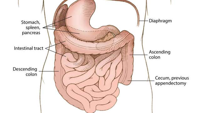 Imagen para el artículo titulado Escrotos insólitos o erecciones de 9 días: los casos que entraron a forma parte de la literatura médica en 2019