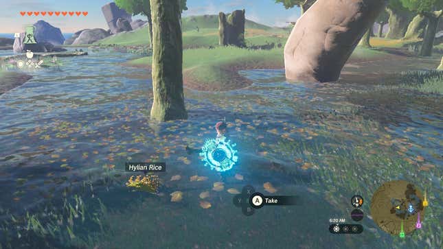 Link is seen standing in a pond with weapon drawn cutting grass to find Hylian Rice.