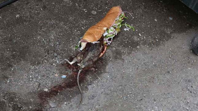 Image for article titled Looking Back On 30 Decades Of Hard-Hitting Sandwich Journalism