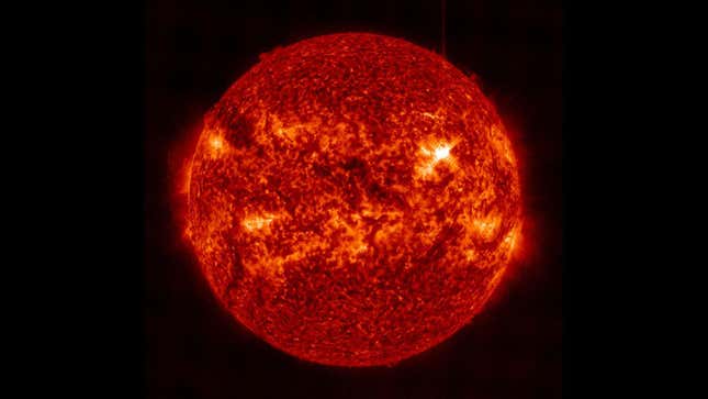 A photo of the sun taken by Nasa.