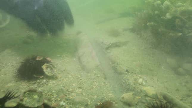 Una de las piedras encontradas cuando la unidad de la policía de buceo revisó el sitio en 2020.