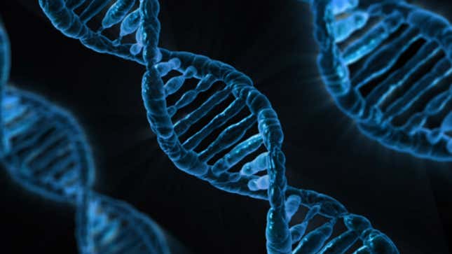 Image for article titled Microsoft Makes Breakthrough in the Quest to Use DNA as Data Storage