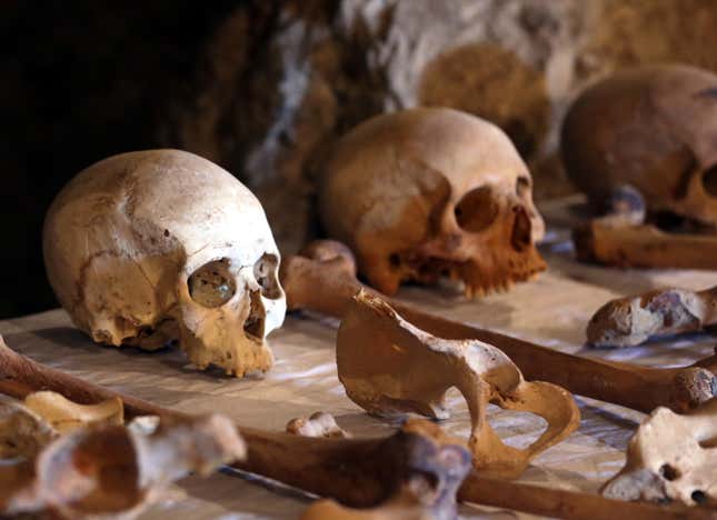 epa06379022 Skulls and bones on display at a recently found tomb and re-discovery of an older one, at Draa Abul Naga necropolis on Luxor?s west bank, 700km south of Cairo, Egypt, 09 December 2017. Egypt's Ministry of Antiquities announced the discovery of a tomb from the New Kingdom that belongs to the old Egyptian deity Amun's Goldsmith, Amenemhat (tomb number Kampp 390) and a burial shaft housing the mummy of a lady and her two children. The newly discovered tomb includes an entrance located in the courtyard of another Middle Kingdom tomb number Kampp 150. EPA-EFE/KHALED ELFIQI