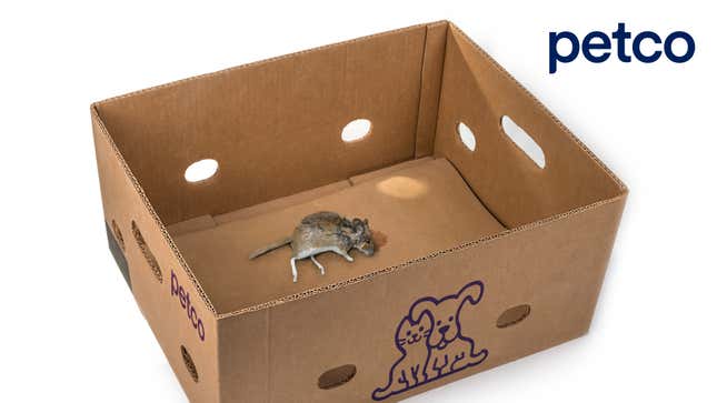 Image for article titled Petco Begins Selling Pre-Killed Gerbils