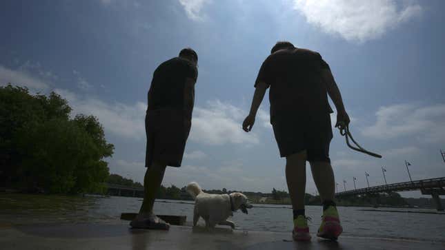 Two brothers bring their dogs to White Rock Lake in Dallas, on June 20, 2023 to cool off.