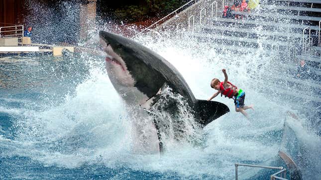 Image for article titled SeaWorld To Discontinue Great White Shark Ride