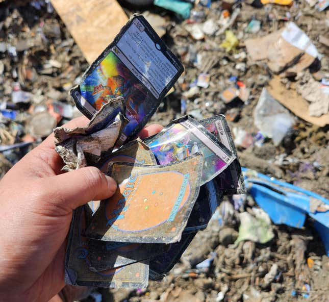 Image for article titled At Least $100,000 Worth Of Magic Cards Dumped In Landfill