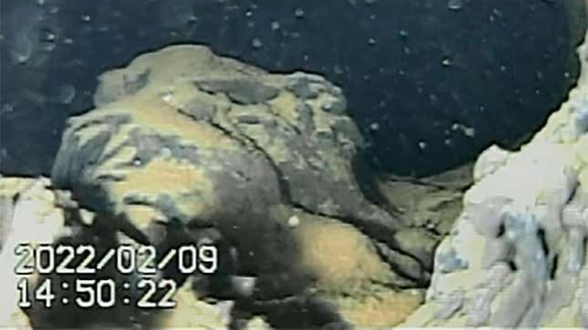 Lumps of what appear to be melted nuclear fuel, which fell to the bottom of reactor No. 1—the hardest hit of the three. 