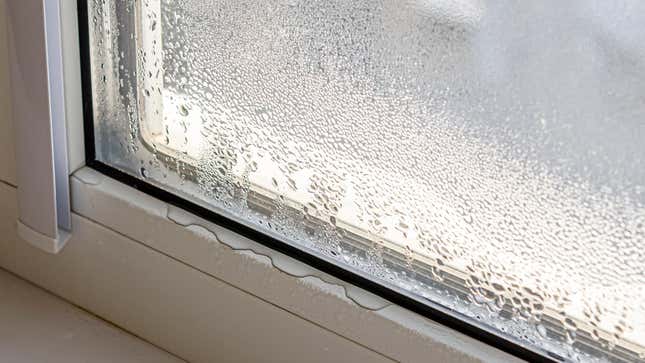 Imagen para el artículo titulado No uses este truco viral de TikTok para arreglar la condensación de tus ventanas