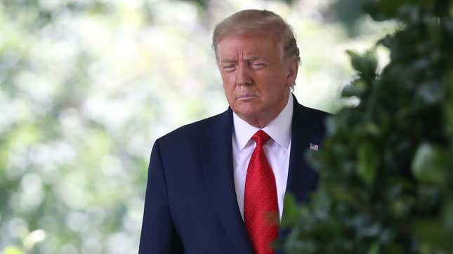 Donald Trump Very Proud That He 'Aced' a Cognitive Test That Likely Asked Him to Identify a Drawing of a Lion