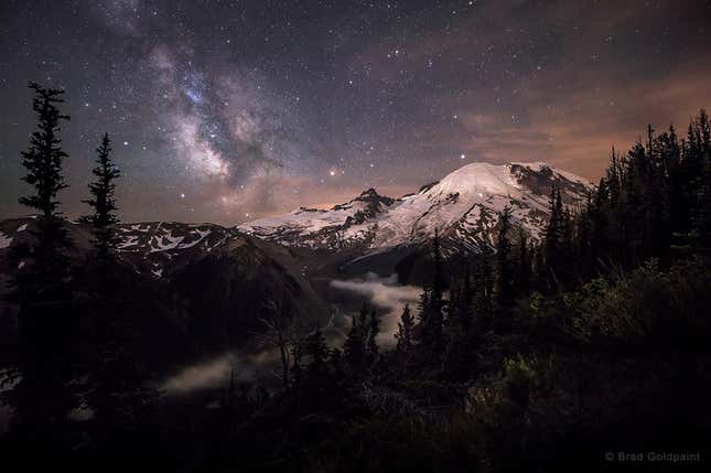 "Moonlit Darklings" in Washington