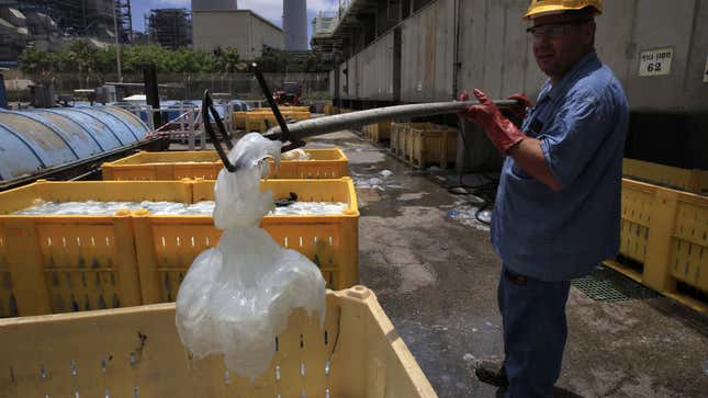 A worker from the Israel Electric Corp. drops a jellyfish into a container at Orot Rabin coal-fired power station on the Mediterranean coast near the central town of Hadera July 5, 2011. The power station uses seawater for cooling off purposes and has to filter out and dispose of tonnes of jellyfish that are sucked into its system daily. REUTERS/Ronen Zvulun