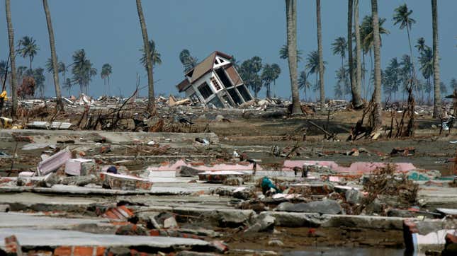 Image for article titled Everything You Need to Know to Survive a Tsunami