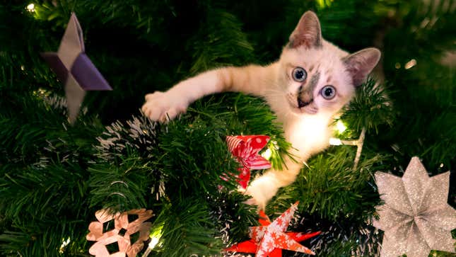 Image for article titled Cat Clinging To Side Of Christmas Tree Admits That Was Extent Of Plan