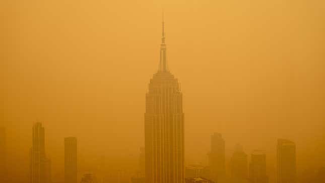 Image for article titled FAA Lifts Pause on NYC Flights but Airport Delays Continue Amid Wildfire Smoke