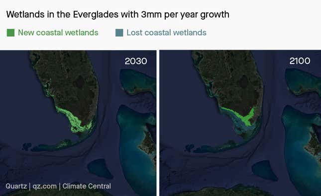 US Coastal Wetlands Are Disappearing. Here's How To Save Them