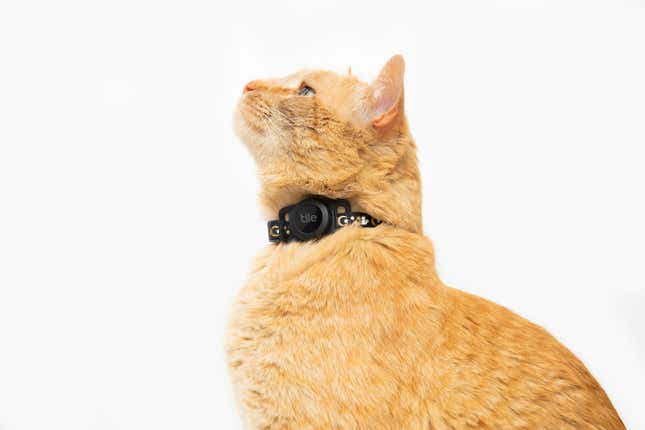 Imagen para el artículo titulado Este nuevo accesorio de Tile te permite rastrear a tu gato por la casa