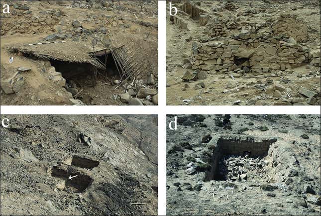 Imagen para el artículo titulado Encuentran decenas de vértebras humanas empaladas en un antiguo cementerio de Perú