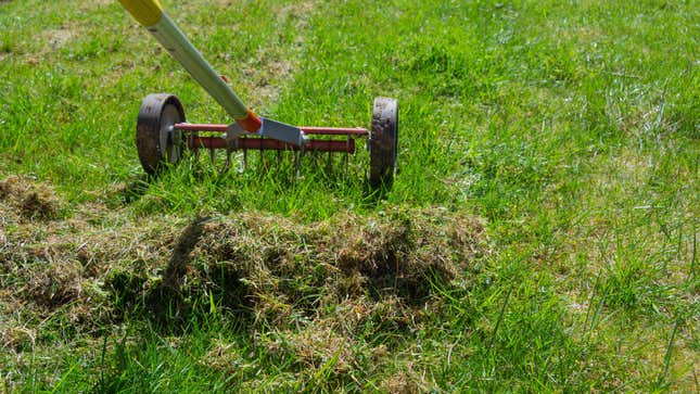 Image for article titled Why You Shouldn&#39;t Wait to Aerate Your Lawn