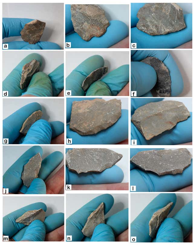 Apparent stone tools gathered at Chiquihuite Cave.