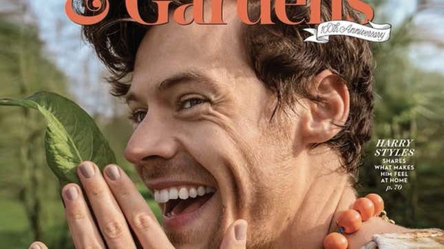 Image for article titled I’m Obsessed With Harry Styles Talking About His Sex Life in ‘Better Homes &amp; Gardens’