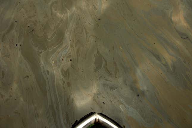 The heavy fuel oil washes up on the shore, while the extensive lighter slick floats up and down the river with the tide.