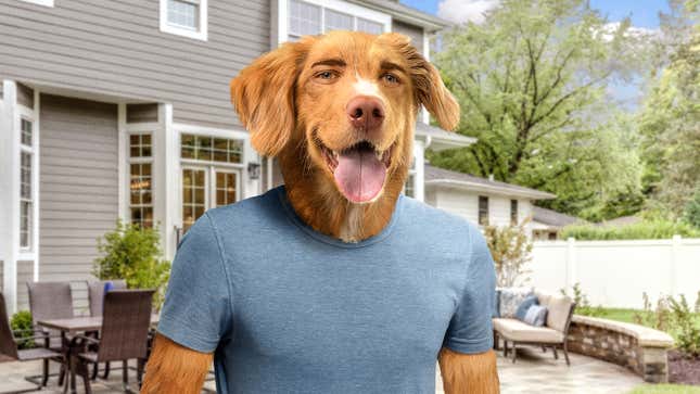 Image for article titled Signs It’s Time To Rehome Your Dog
