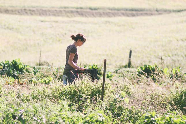 Danelle, One Farm