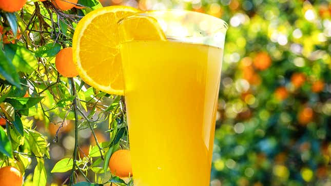 Glass of Earl Grey Orangeade against backdrop of orange grove