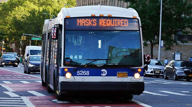 New York MTA bus