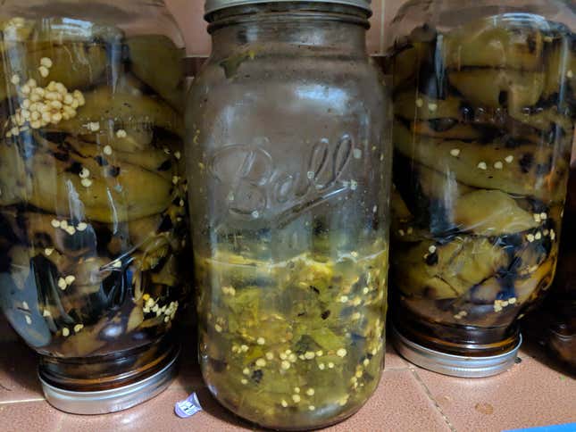 Peppers fermenting in brine. That cloudiness demonstrates the fermentation process. 