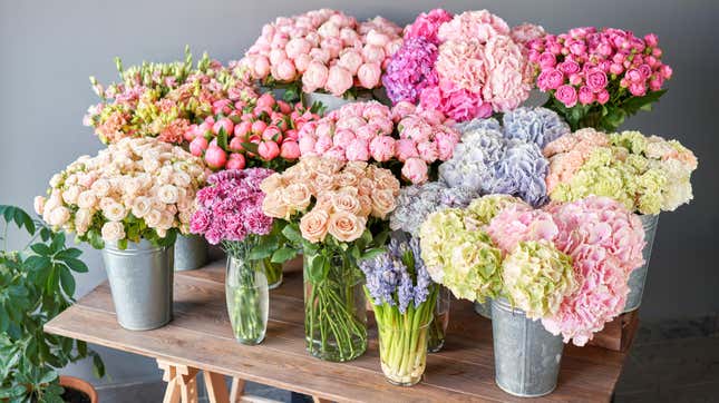 Image for article titled How to Create Your Own Cutting Garden for Endless Bouquets