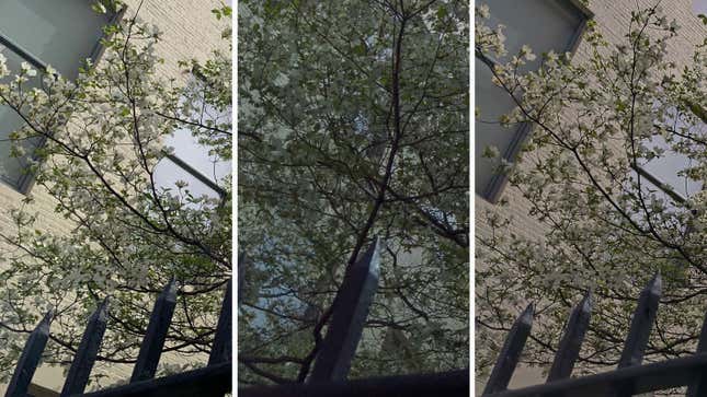 Image for article titled Nokia’s five-camera smartphone isn’t just a gimmick