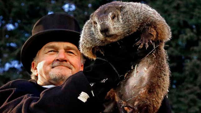 Una de las marmotas del día homónimo, en una foto de archivo
