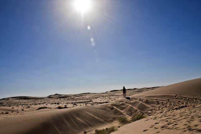 Image for article titled 2022 Rebelle Rally Stage Seven: Decision Day at the Imperial Sand Dunes