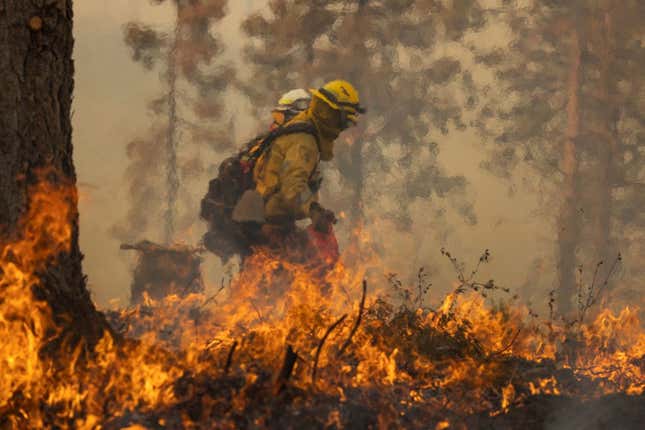 A firefighter lights a backfire near Mariposa, California, on July 24, 2022.