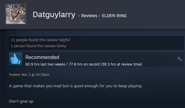 A game that makes you mad but is good enough for you to keep playing