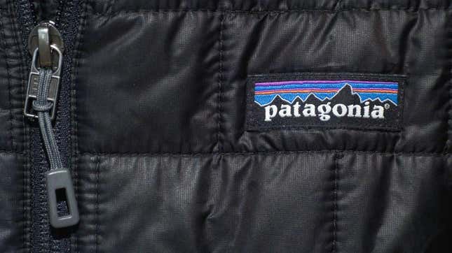 patagonia jacket close up