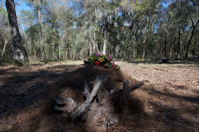 Image for article titled The green burial industry could be worth $1 billion by 2030