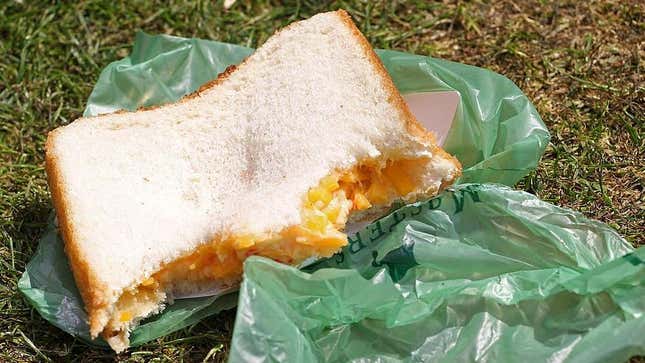 Pimento Cheese Sandwich sitting on green wrapper on the grass
