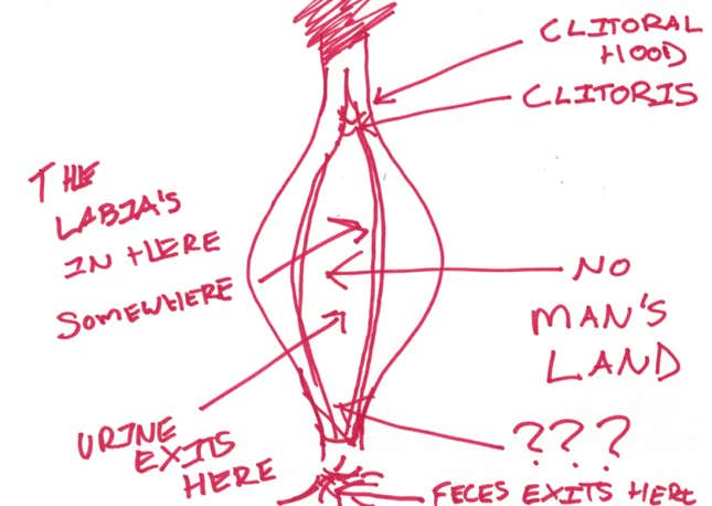 Image for article titled Can You Draw an Anatomically Correct Penis? An Experiment